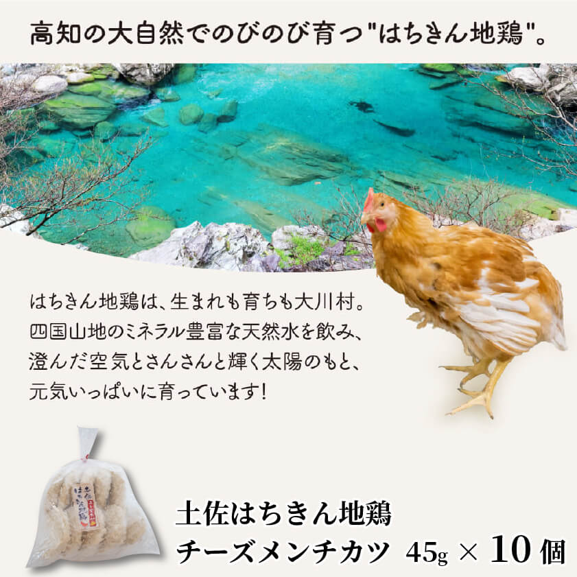 土佐はちきん地鶏チーズメンチカツ