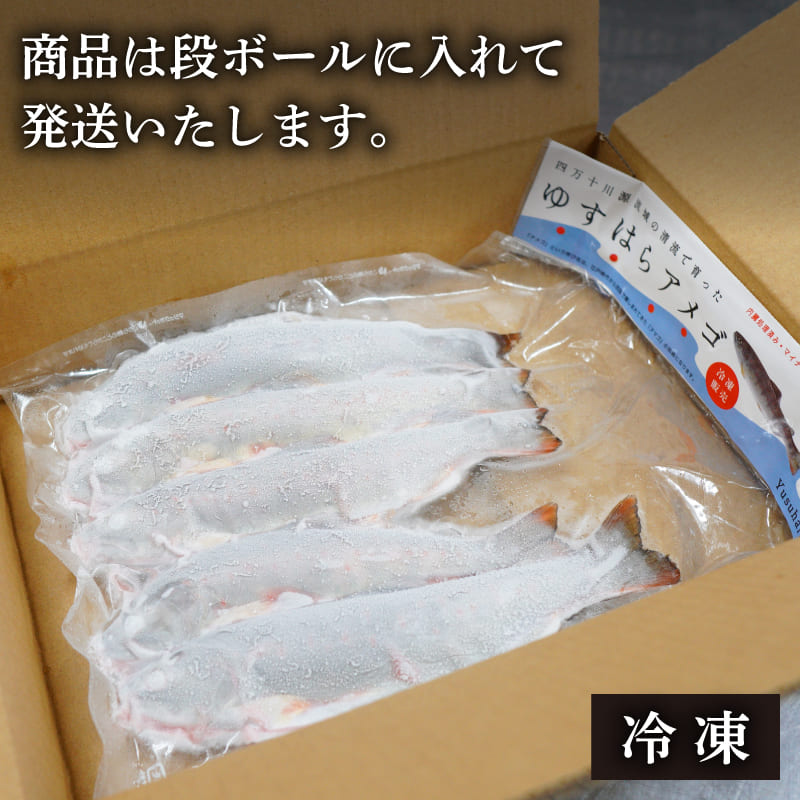 【内臓処理済み】冷凍アメゴ 1パック~3パック