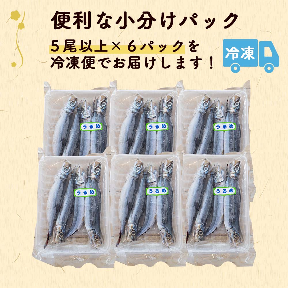 【漁師のこだわり干物】うるめイワシ丸干し