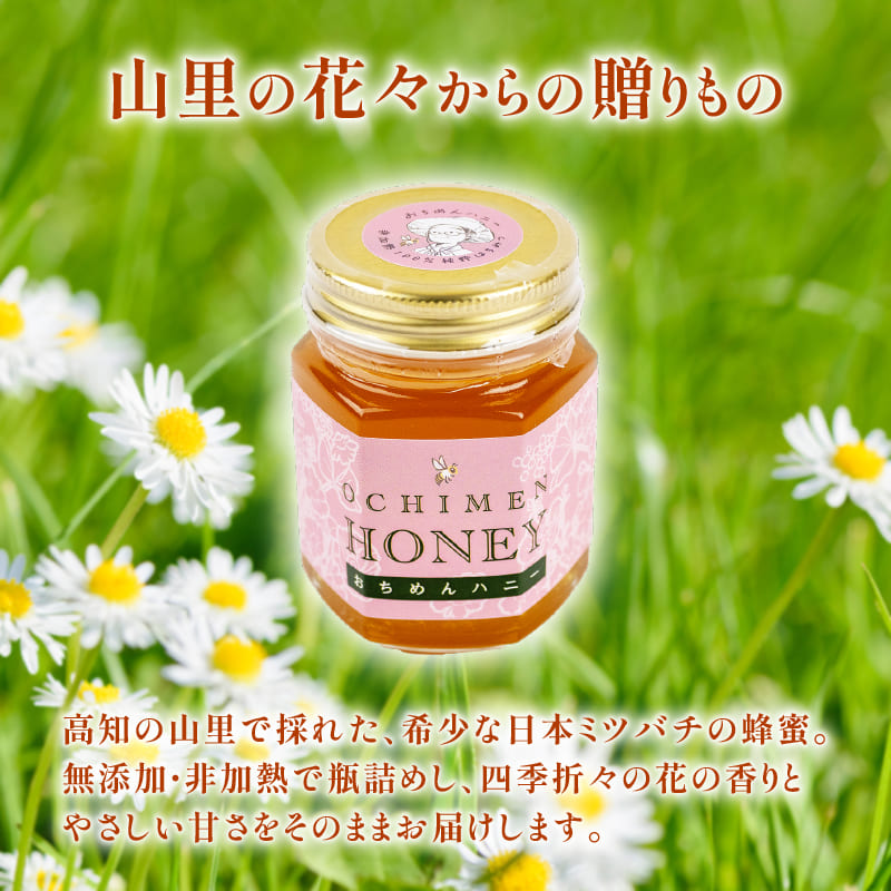 国産 はちみつ おちめんハニー
