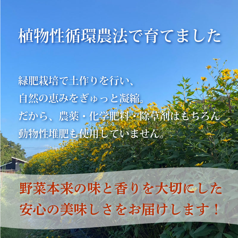 【栽培期間中農薬・化学肥料不使用】 菊芋 1kg 【さぬき市・おおぞらのうえん】