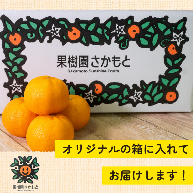 【今季終了】【贈答用】立目ぽんかん(低しょう系)Mサイズ 5kg【果樹園さかもと】【柑橘】【2月16日販売終了】