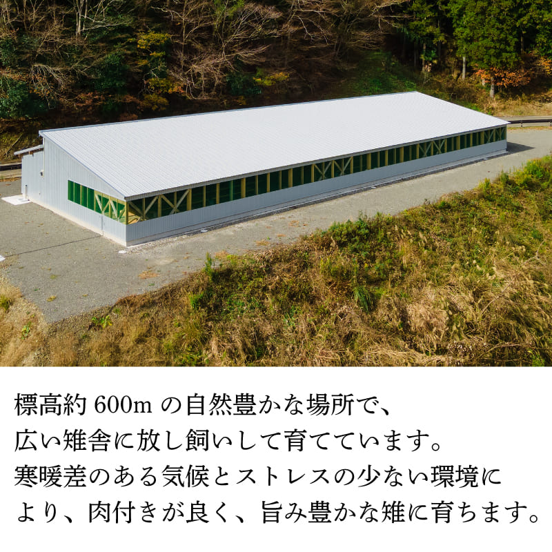 キジ釜飯の素3合