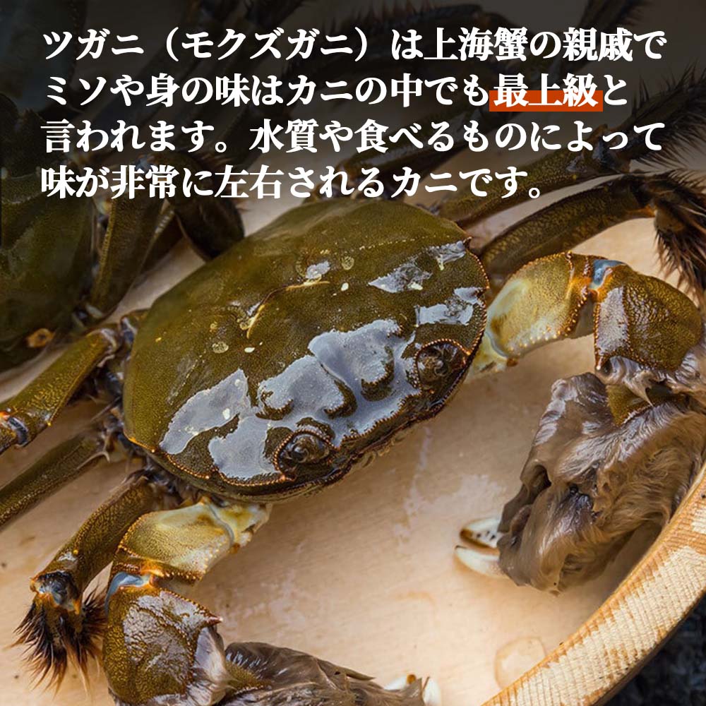 【期間限定】四万十川・中流域のツガニ(モクズガニ)・雄1匹・雌2匹 味付き