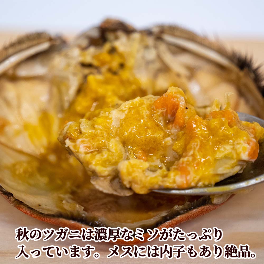 【期間限定】四万十川・中流域のツガニ(モクズガニ)・雄1匹・雌2匹 味付き