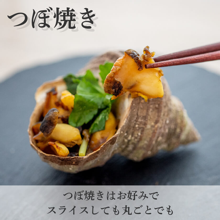 愛媛県産・活サザエ【お届け不可地域あり】