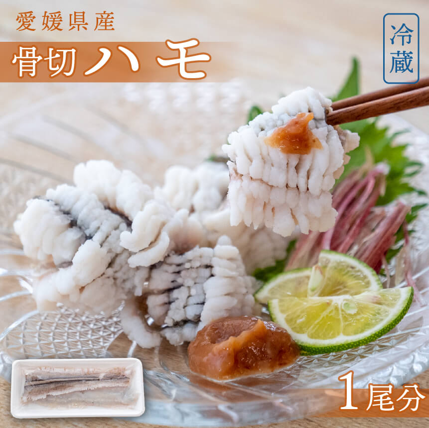 【6〜9月限定】愛媛県産・骨切ハモ 1尾分【鮮魚】