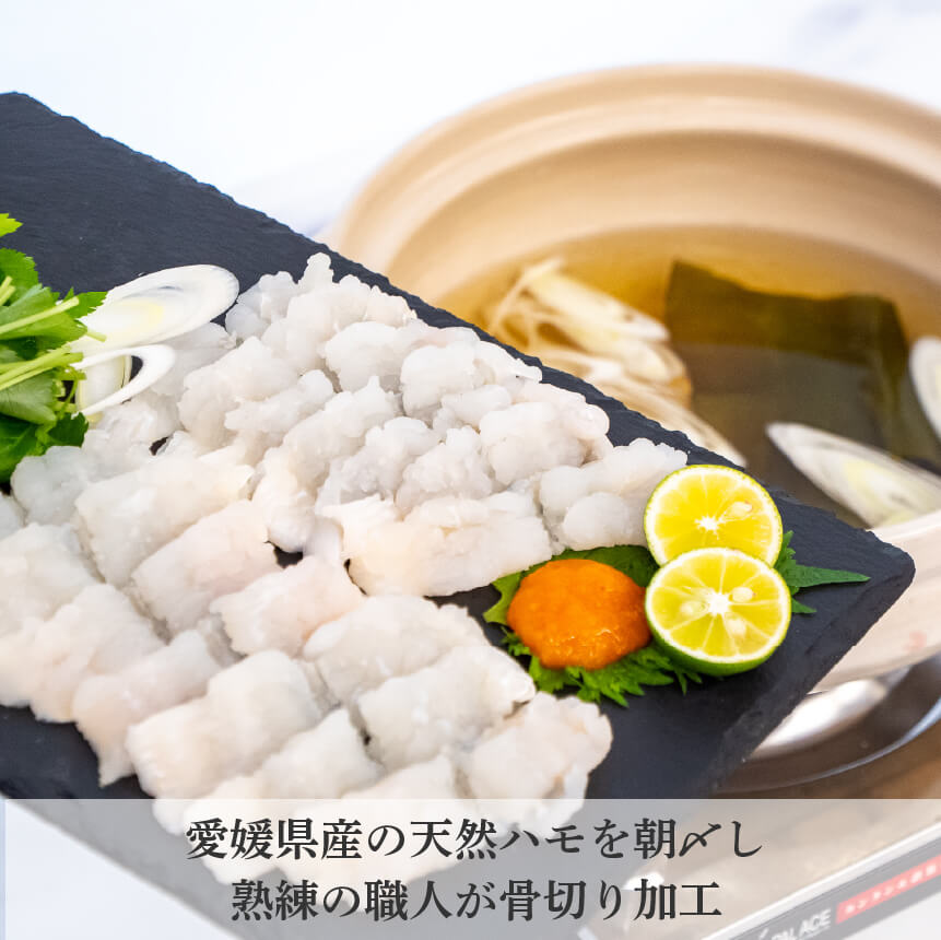 【6〜9月限定】愛媛県産・骨切ハモ 1尾分【鮮魚】
