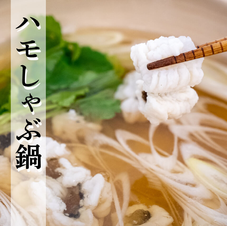 【6〜9月限定】愛媛県産・骨切ハモ 1尾分【鮮魚】