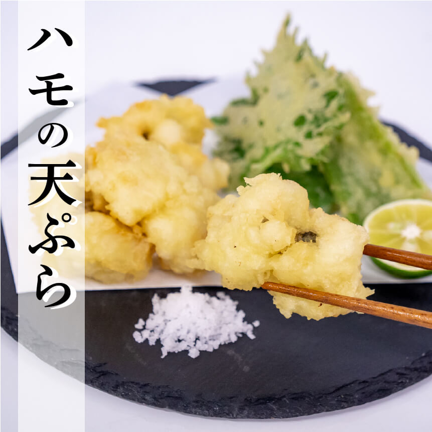 【6〜9月限定】愛媛県産・骨切ハモ 1尾分【鮮魚】