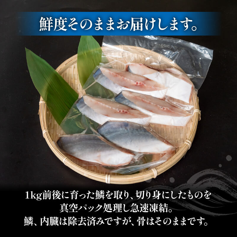 瀬戸内海の超高級魚 マナガツオの切身 400〜500g