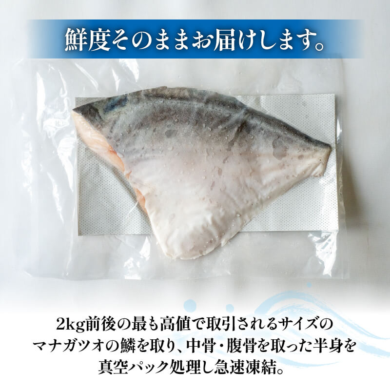 瀬戸内海の超高級魚 マナガツオ 半身フィーレ