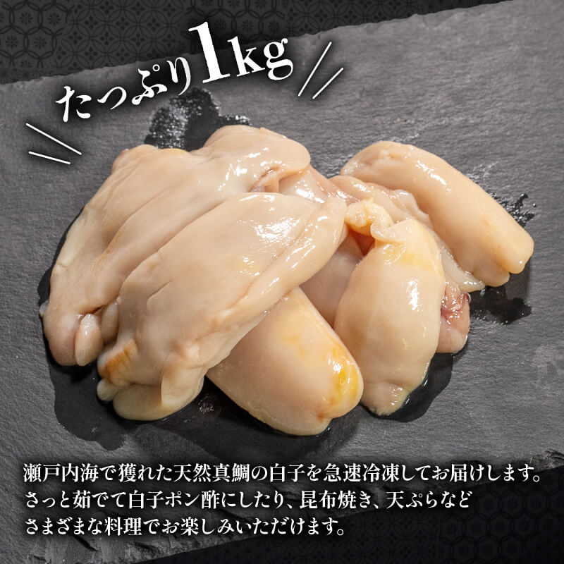 瀬戸内海産・天然真鯛の白子 約1kg