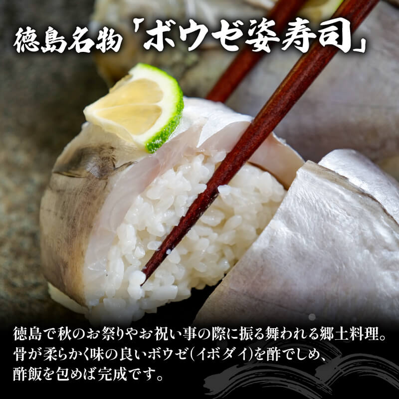 【徳島名物】ゆず締めボーゼ開き姿寿司用 3パック