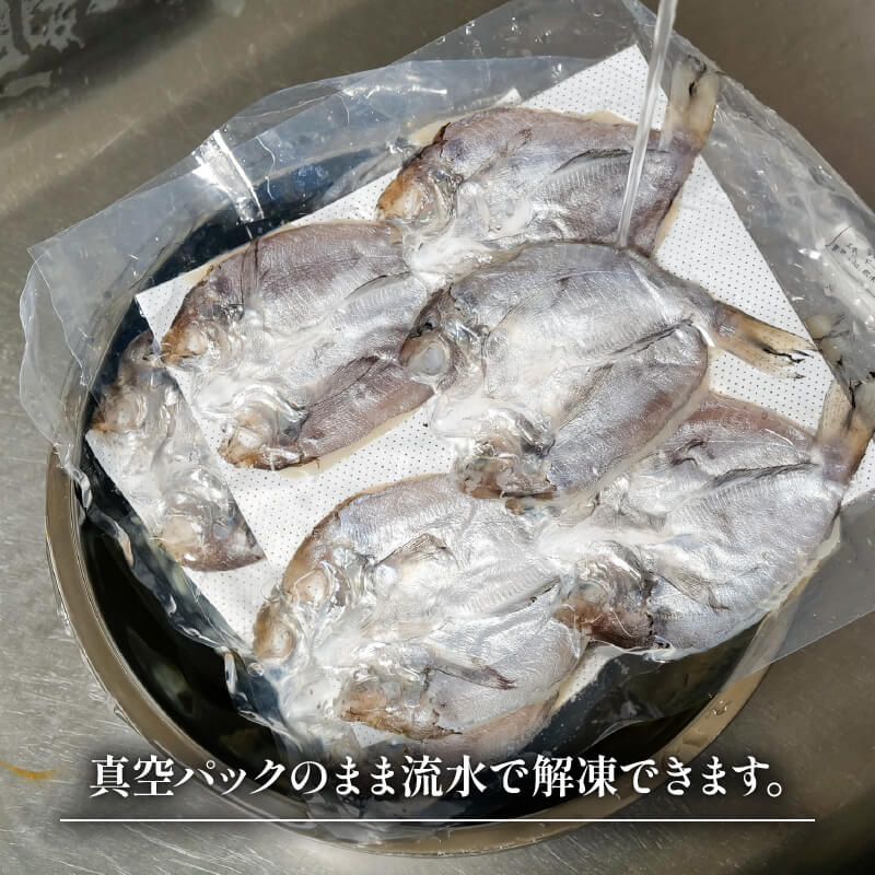 【徳島名物】ゆず締めボーゼ開き姿寿司用 3パック