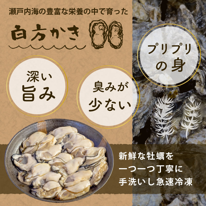 香川県産ブランド牡蠣「白方かき」冷凍むき身 特大サイズ 約500g