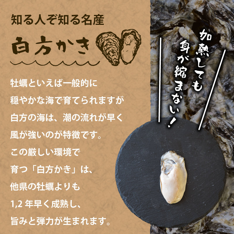 香川県産ブランド牡蠣「白方かき」冷凍むき身 特大サイズ 約500g