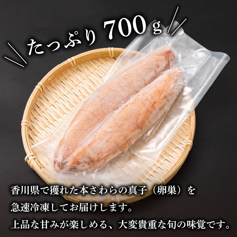 【香川県産】天然サワラ真子 700g
