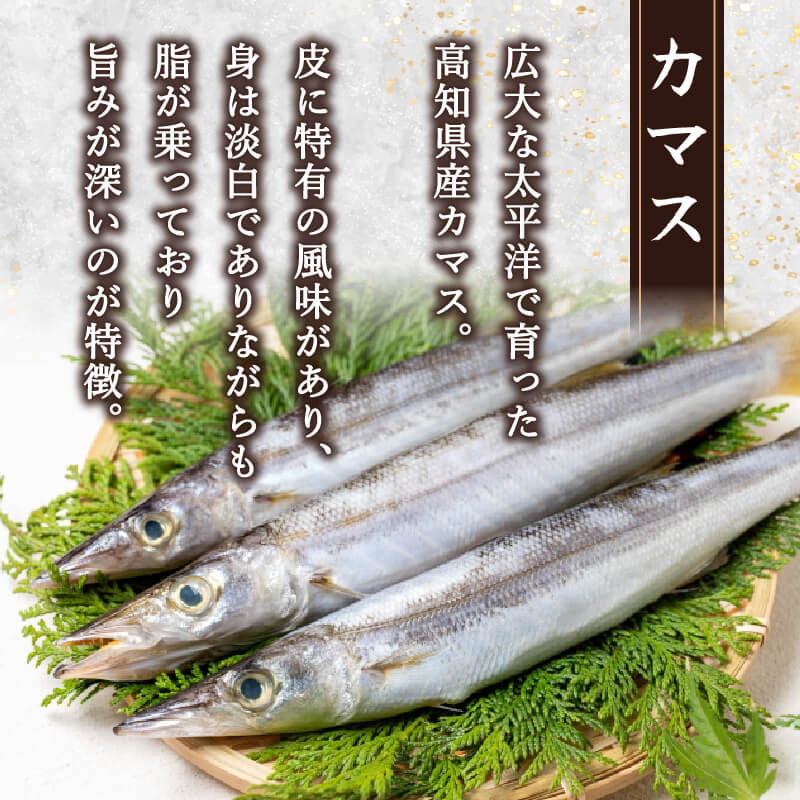 高知県産 カマスフィーレ(骨取)20枚