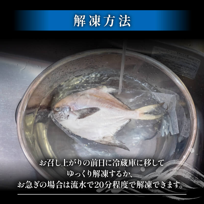 冷凍マナガツオ真空パック(鱗取)2P