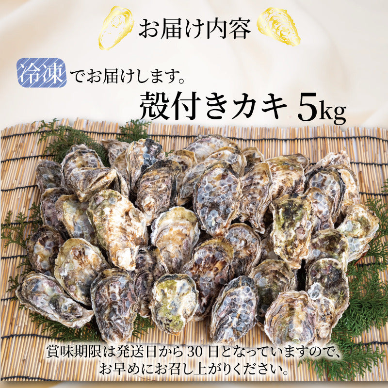 岡山県産 冷凍殻付きカキ 5kg