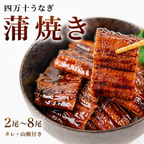 【ふっくら柔らか国産うなぎ】四万十うなぎ蒲焼き 2尾~8尾【個包装・タレ山椒付】