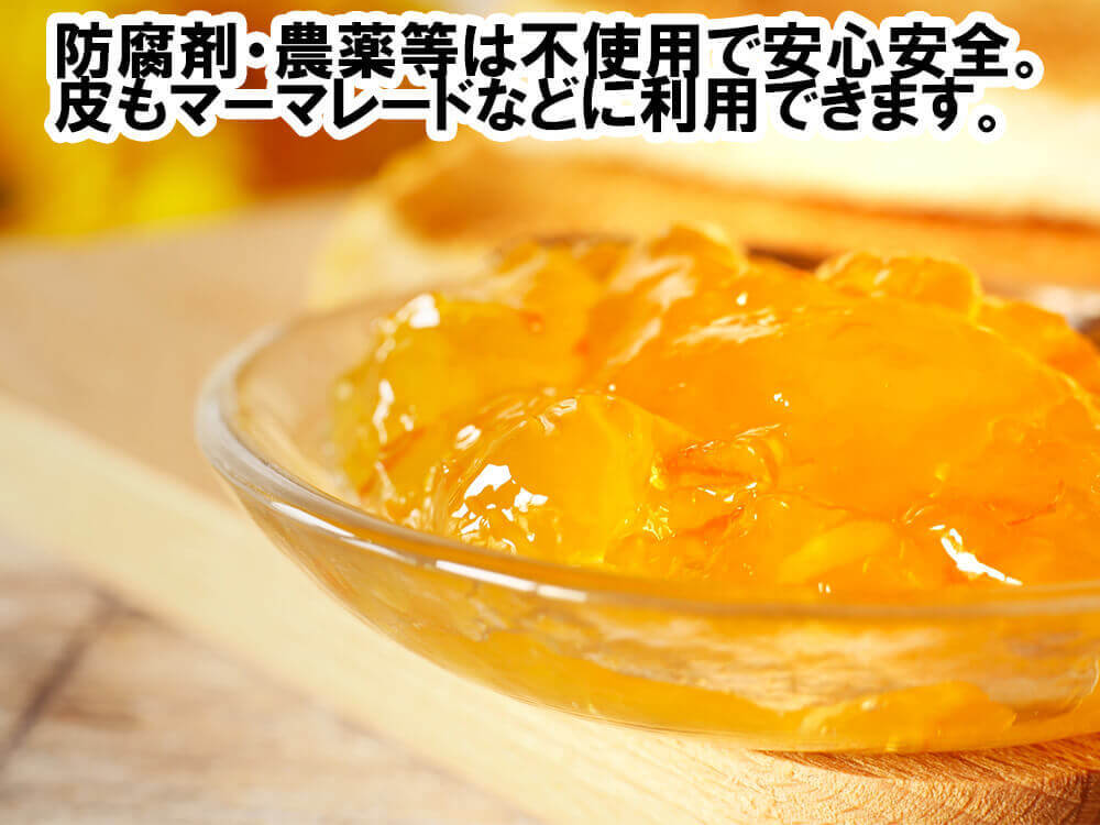甘くておいしい有機ポンカン 訳あり5kg【高知県須崎市・田條園】【柑橘】
