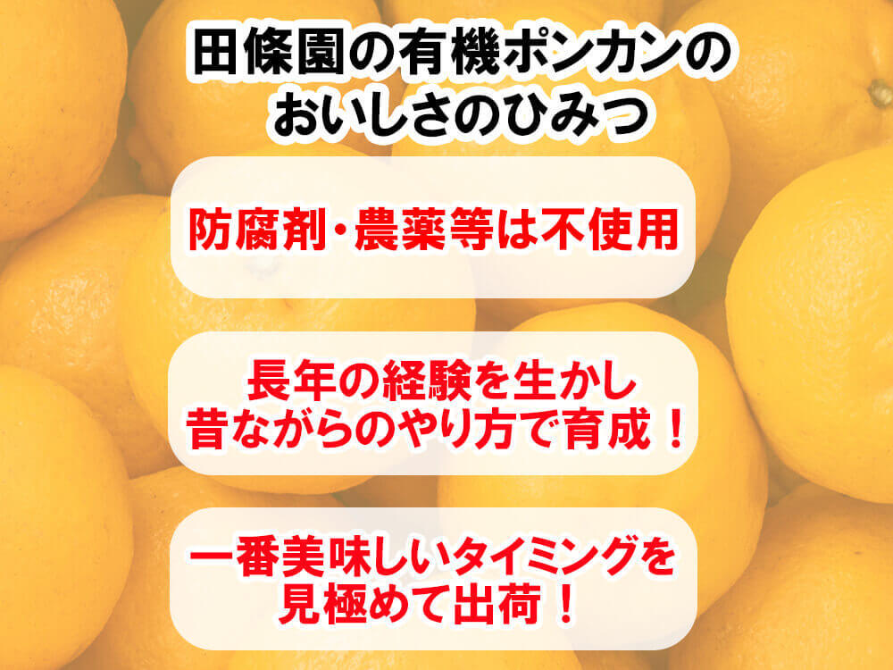 甘くておいしい有機ポンカン 訳あり5kg【高知県須崎市・田條園】【柑橘】