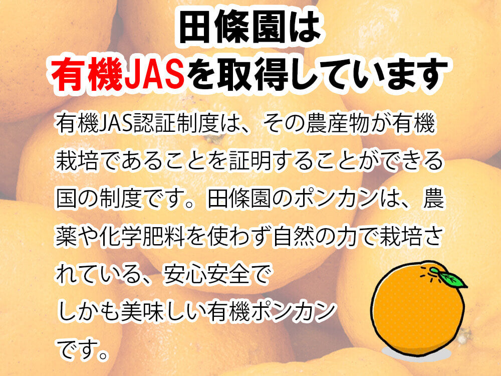 甘くておいしい有機ポンカン 訳あり5kg【高知県須崎市・田條園】【柑橘】