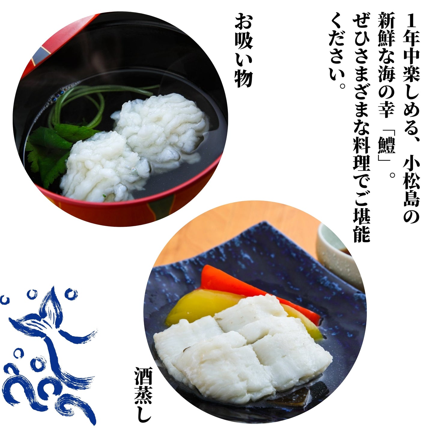 徳島県・小松島産 活締・骨切り済みハモ切り身