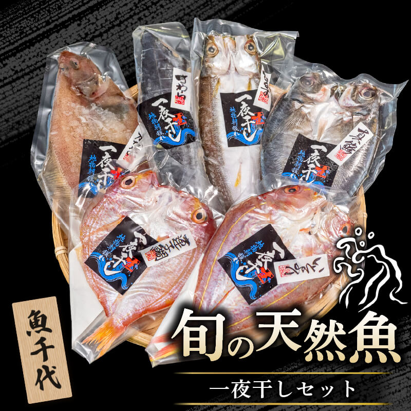 【魚千代】絶品!旬の鮮魚一夜干しセット