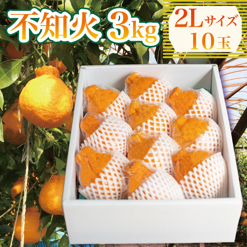 【3月下旬より順次発送】しらぬい 3kg 2Lサイズ(10玉入り)