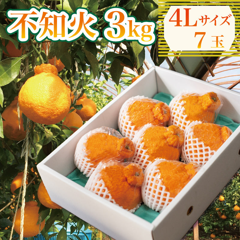 【3月下旬より順次発送】しらぬい 3kg 4Lサイズ(7玉入り)
