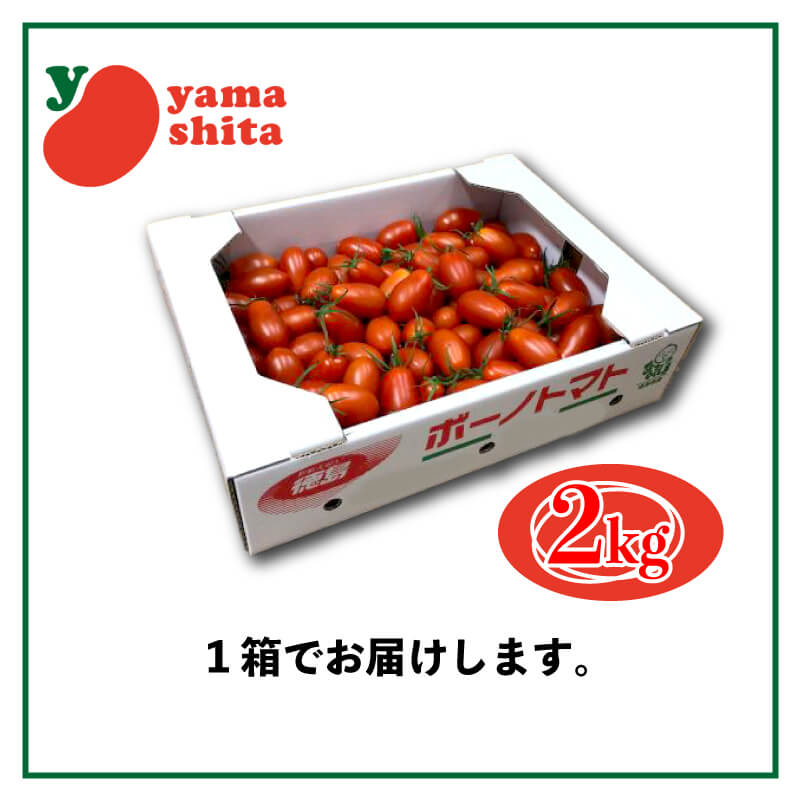 徳島県・阿波市産 ボーノトマト 2kg【山下農園】