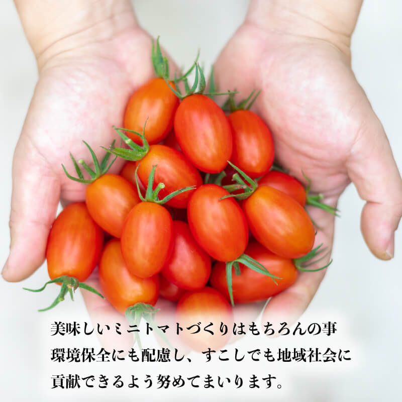 徳島県・阿波市産 ボーノトマト 4kg【山下農園】