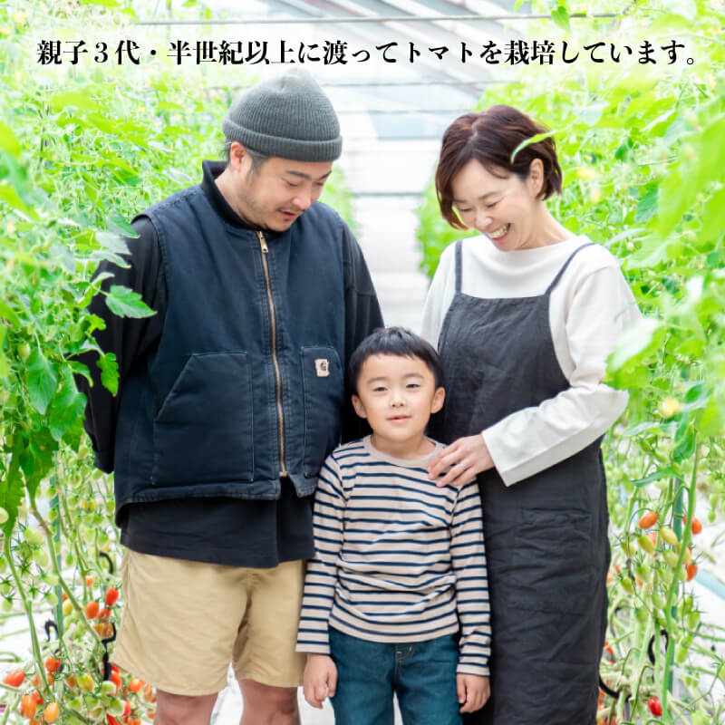 徳島県・阿波市産 ボーノトマト 4kg【山下農園】