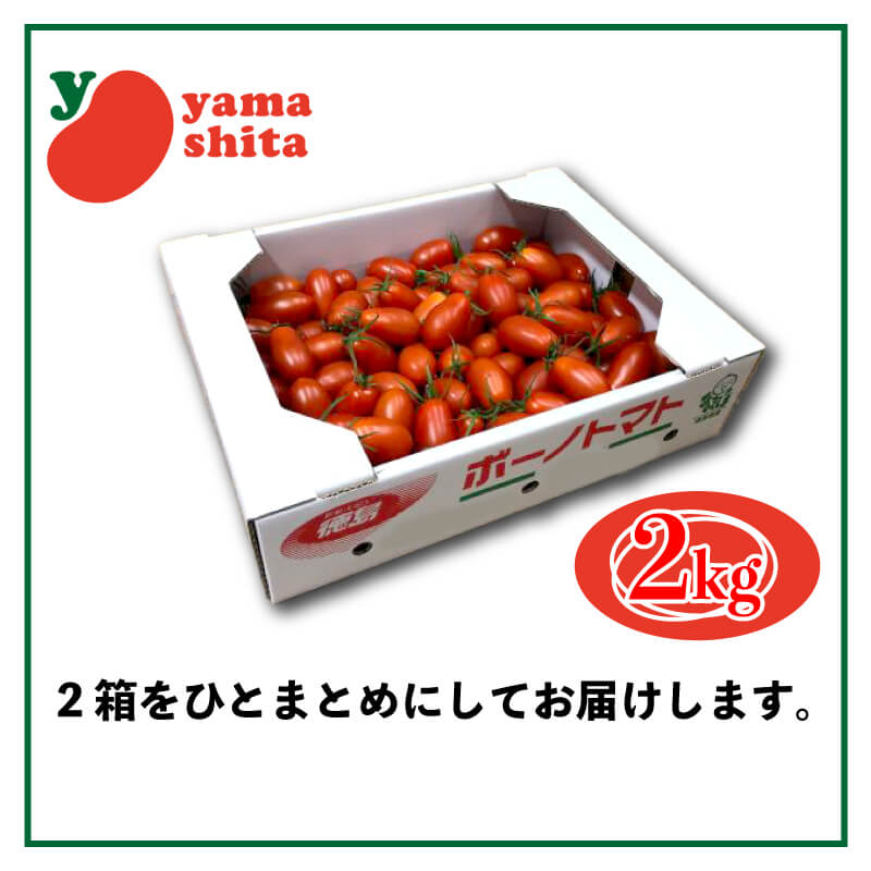 徳島県・阿波市産 ボーノトマト 4kg【山下農園】