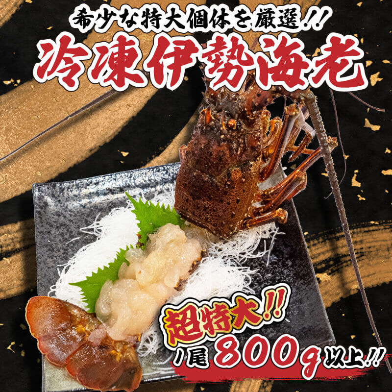 超特大】職人吉岡の冷凍伊勢海老 1尾800g以上の超特大サイズ