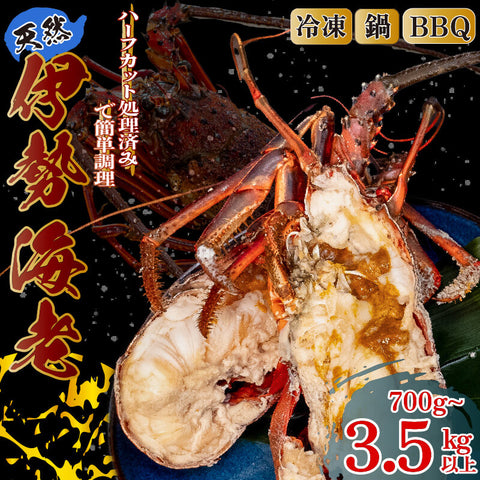 【年末予約専用】 【簡単調理!】ハーフカット伊勢海老 700g~3.5kg