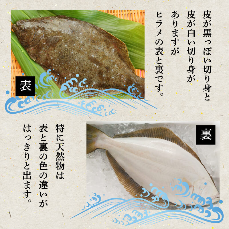 山口県産 天然ヒラメ 切り身(加熱用) 400g