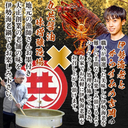 【贅沢冬鍋】伊勢海老鍋セット 700g～3.5kg