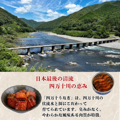 【缶詰】国産 四万十うなぎ2缶セット 8大アレルゲン不使用 【防災】【備蓄】