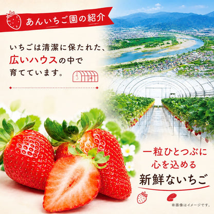 【川島ジェラート】いちご ジェラート 食べ比べセット  【6個/12個から選択可】