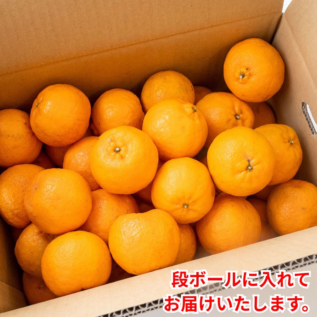 今季受付終了】サイズ混合 甘くておいしい有機ポンカン 2.5kg/5kg