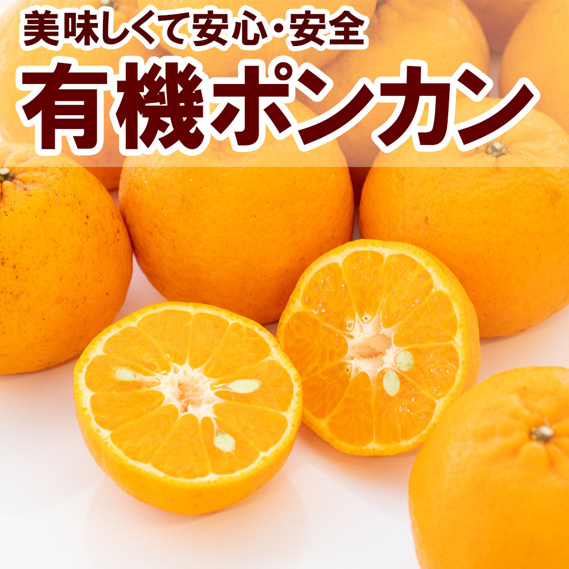 先行予約商品】サイズ混合 甘くておいしい有機ポンカン 2.5kg/5kg
