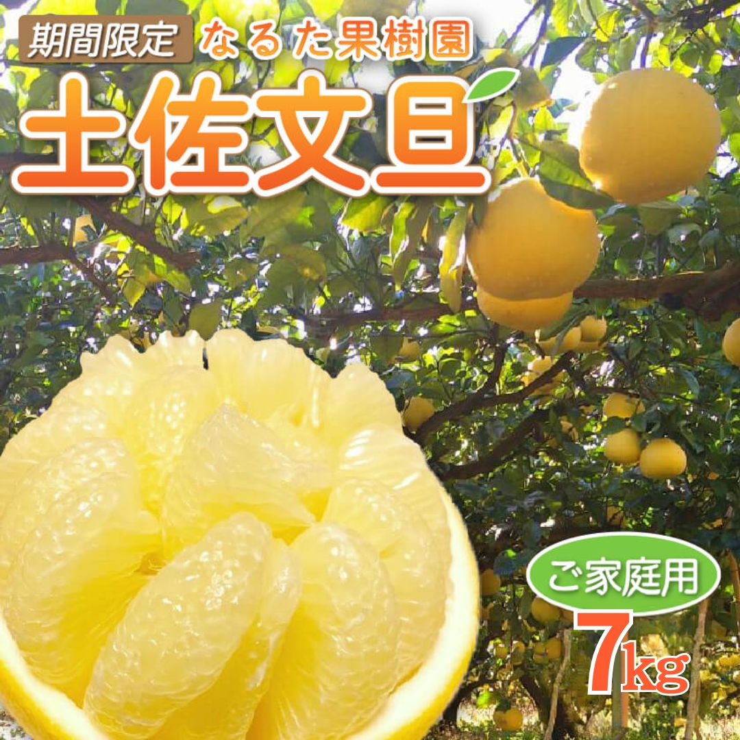 宿毛産・土佐文旦5kg～10kg（ご家庭用）【高知県宿毛市・なるた果樹園】【柑橘】