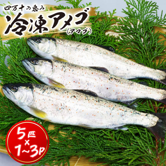 【内臓処理済み】冷凍アメゴ 1パック～3パック