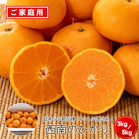 【1月初旬から順次出荷】超希少な新品種みかん　西南のひかり 3kg/5kg【高知県宿毛市・なるた果樹園】【柑橘】