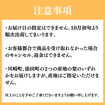 【10月初旬以降順次出荷】福岡県産 新高梨 約3～5kg
