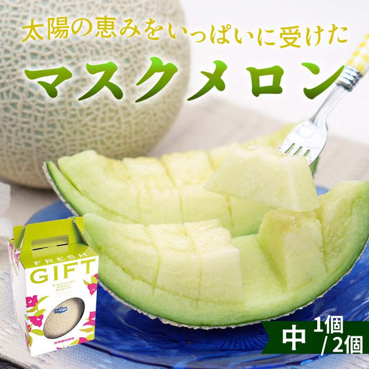 マスクメロン１個/2個（中）